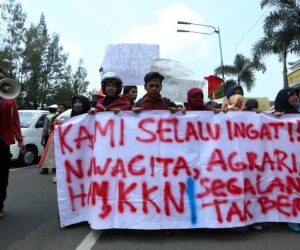 demo-imm