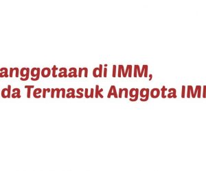 anggota imm