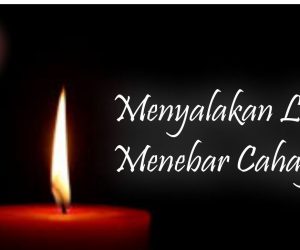 lilin lg