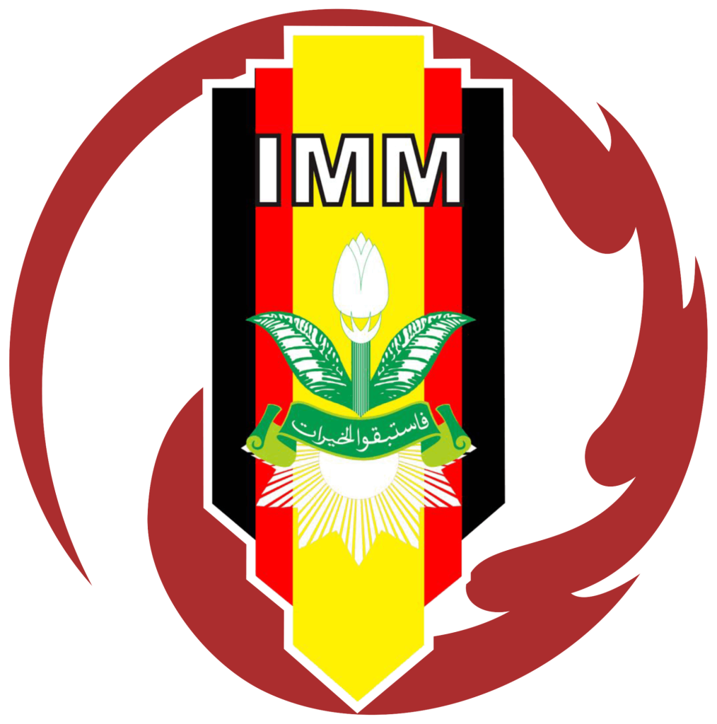 Logo IMM Solo