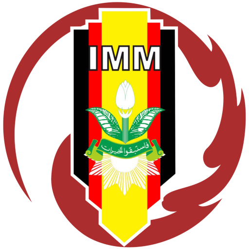 Icon web Logo IMM Solo